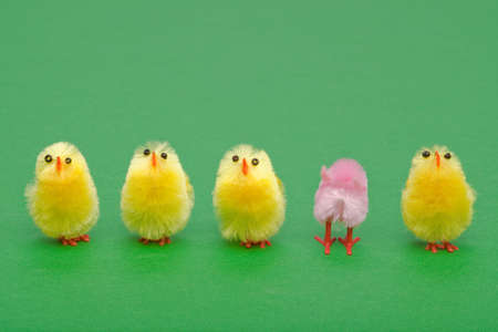 A line of easter chicks, one facing a different way to the others.の写真素材