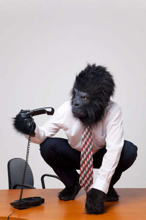 Abstract image of a gorilla in business attire sat on a desk trying to work out how to use the phone.の写真素材
