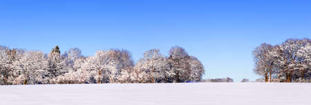 Panoramic landscape photo of a field and trees covered in fresh snow  with a clear blue sky.の写真素材