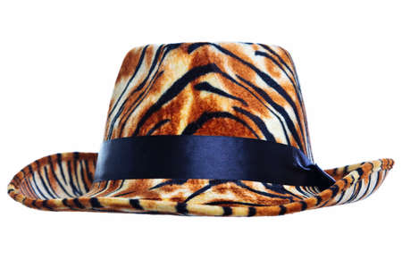 Photo of a tiger skin hat cut out on a white background, add your own pimp!の写真素材
