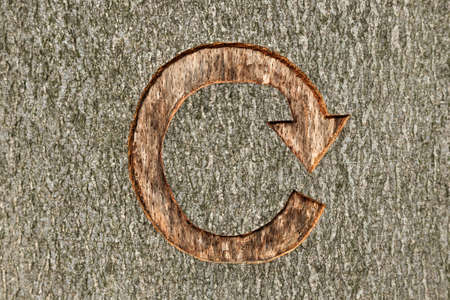The recycle symbol carved into a tree in managed woodland. This tree was marked to be cut down as part of a forestry clearing project.の写真素材