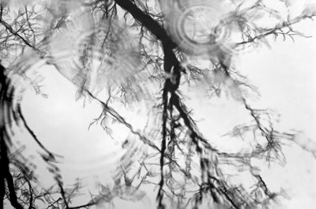 brunches and raindropsの写真素材