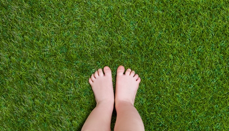 Baby legs standing  on green grassの写真素材