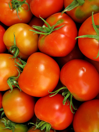 Red fresh tomatoesの写真素材