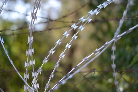 Barbed wire fence abstract  backgroundの写真素材