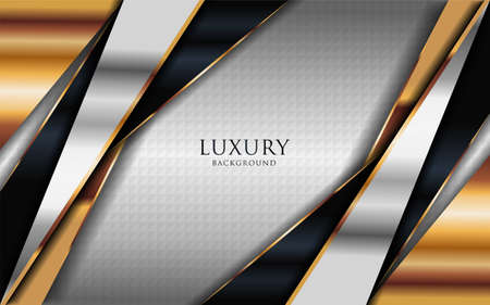 Luxury shinny silver background combine with golden lines element. Graphic design element.のイラスト素材