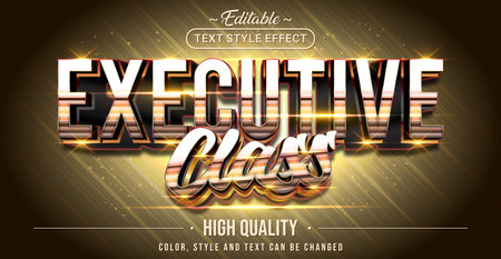 Editable text style effect - Executive Class text style theme.のイラスト素材