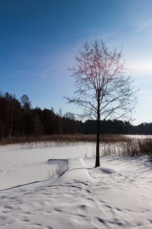 Frozen pond in Estoniaの写真素材