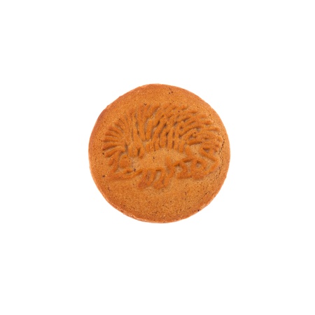 Homemade gingerbread cookie isolated on white backgroundの写真素材