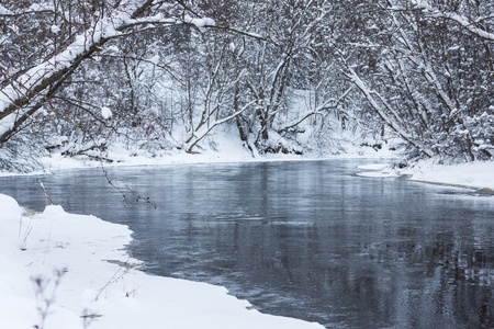 Winter forest riverの写真素材