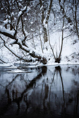 Winter forest river under the snowの写真素材