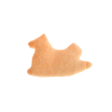 Horse shape homemade cookie isolated on white background made by a childの写真素材