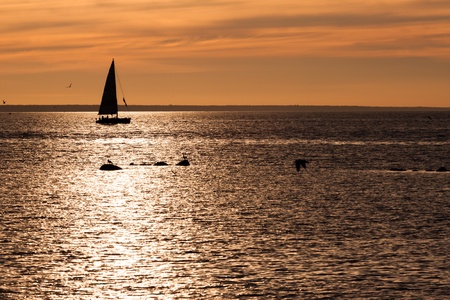 Sailing boat silhouette at sunset in seaの写真素材