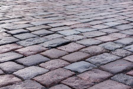 Old stone paved avenue street road, low angleの写真素材