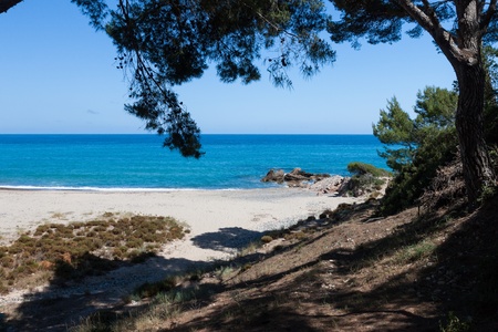 Beautiful small sandy beach in Spain. With rock and treeの写真素材