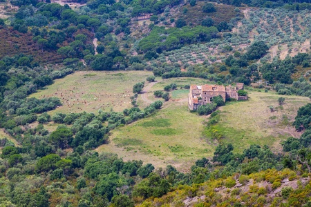 Herd of sheep on beautiful mountain meadow in Spainの写真素材