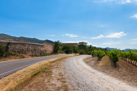 vineyard in spain with beautiful agricultural landscape near old monasteryの写真素材