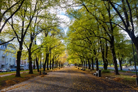 Pathway through the autumn park with benchesの写真素材