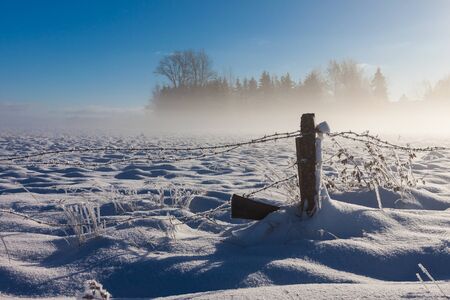 Barbed wire fence with snow covered ground and fogの写真素材