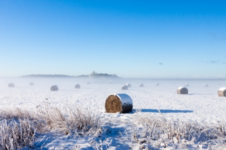 Bales of hay laying in snow on fieldの写真素材