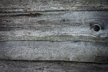 Very old wood texture backgroundの写真素材