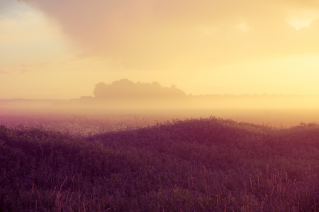 sunset over forest with summer fogの写真素材