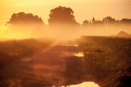 Magic fog over rural farm village road with mud and puddlesの写真素材