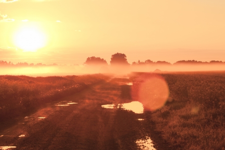 Magic fog over rural farm village road with mud and puddlesの写真素材