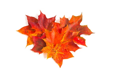 autumn maple leaves over white forming heart shapeの写真素材