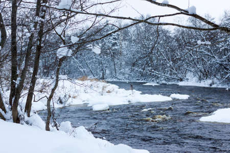 Winter forest river under white snowの写真素材