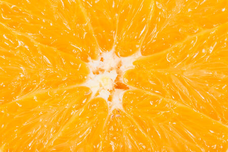 macro of an orange