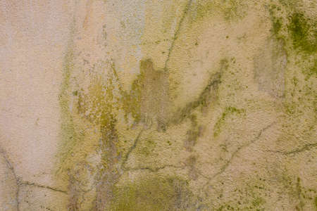 stone grunge background wall dirty textureの写真素材