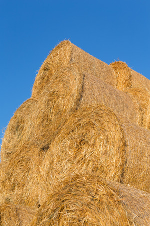 Piled hay bales on a field against blue sky at sunset time