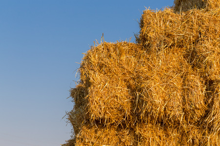 Piled hay bales on a field against blue sky at sunset time