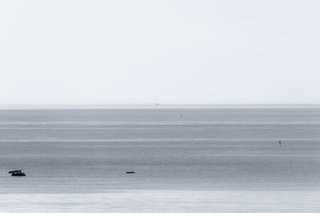 Photo of black and white sailboat in fog in a grey, foggy seaの写真素材