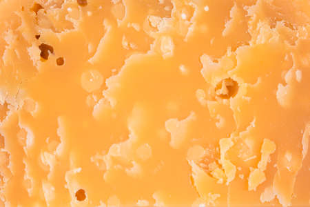 Background of an old seven years old cheeseの写真素材