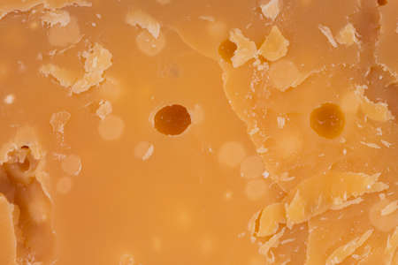 Background of an old seven years old cheeseの写真素材