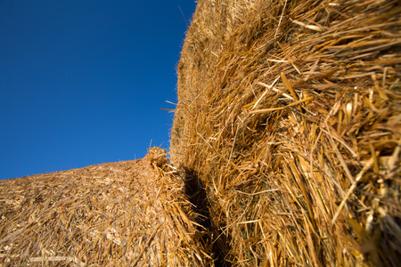 Piled hay bales on a field against blue sky at sunset time