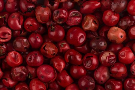 red peppercorns seeds isolated on white backgroundの写真素材