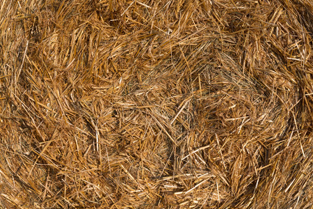 Piled hay bales on a field against blue sky at sunset timeの写真素材