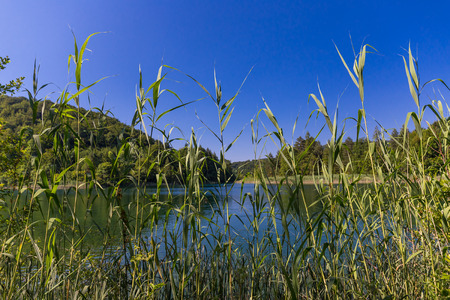 Famous Croatian Plitvice Lakes National Park in Europeの写真素材