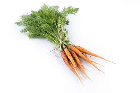 heap of freshly picked carrots isolated on whiteの写真素材