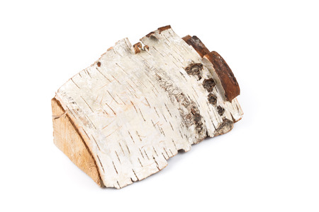 Birch firewood tree log on white backgroundの写真素材