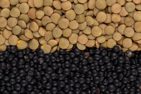 Mix of various color legumes lentils for backgroundの写真素材