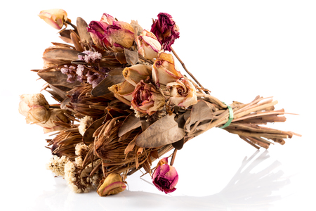 Decoration of dried flowers. Roses on white backgroundの写真素材
