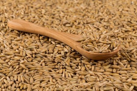 natural oat grains in spoon for background, close up shotの写真素材