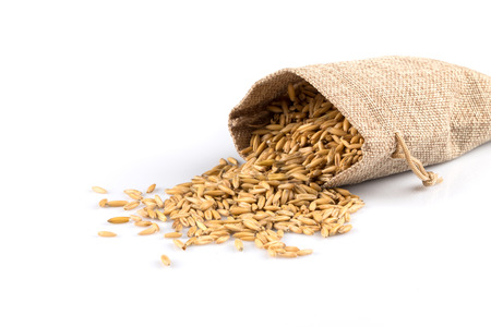 bowl of organic oat grains isolated on white background