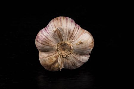 Garlic bulb closeup isolated on dark stone backgroundの写真素材