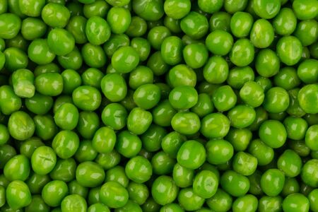 Green wet raw peas vegetable for backgroundの写真素材