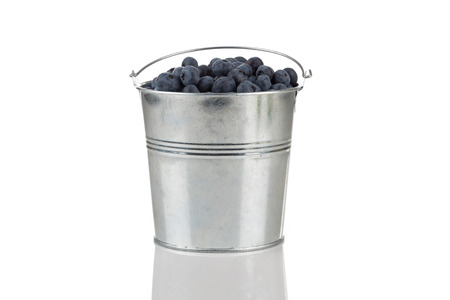 Fresh blueberries isolated on white in a bucketの写真素材